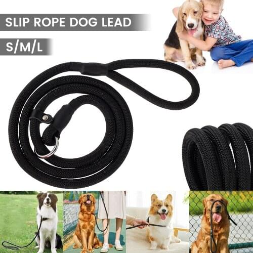 Dog Slip Rope Leash Durable Nylon Dog Training Leash Pet Supplies Dog Harness Collar Medium Large Dog Walking