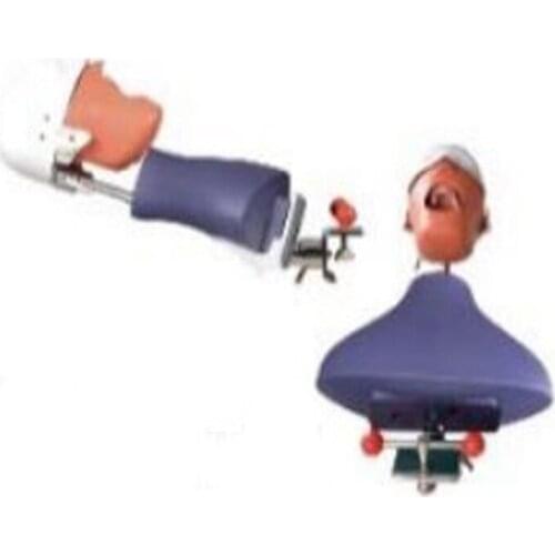 Dental Teeth Model Simulated Body Dental Simulated Head Adjustable Angle DA-C1