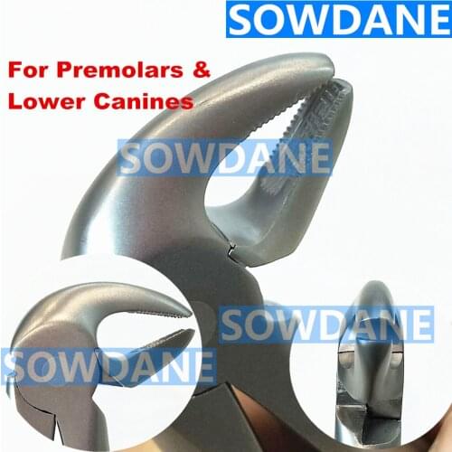 1 piece High Quality Stainless Steel Dental Adult Tooth Extraction Plier For Lower PreMolar Dental Orthodontic Surgery Forcep To