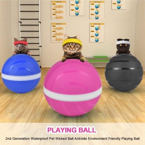 Pet Rolling Ball Anti-bite Sleep State Bumper Ball Interactive Dog Cat Toys Ball Wicked Ball With LED Flash Light
