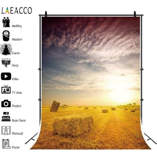 Laeacco Haystack Bale Field Personalized Portrait Scenery Canvas Photography Backgrounds Photographic Backdrops For Photo Studio
