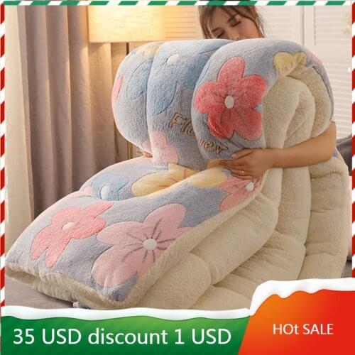 Winter Super Warm Cashmere Quilt Thick Flannel and Lamb Double-faced Velvet Wool Blankets Quilts 5kg Comforter for Bed