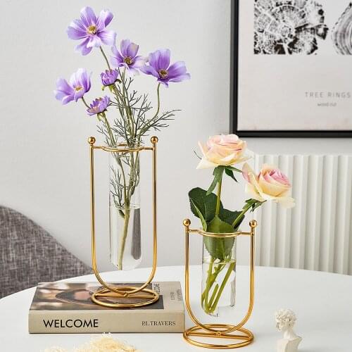 Nordic Metal Vase Decoration Terrarium Hydroponics Home Decoration Accessories Plant Vase Glass Decor Living Room Decoration