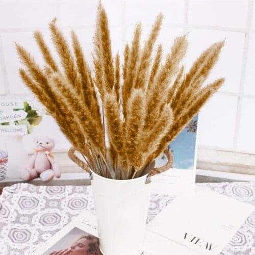 Natural Dried Dried Decoration Dried Flowers Bouquet Boho Decoration Branches 2021 Beautiful Wonderful Mothers Day Gift for Mom