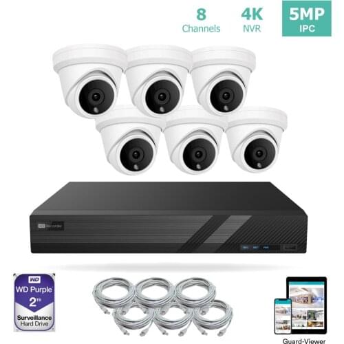 LINOVISION 8 Channel 4K IP PoE Security Camera System 8ch 4K NVR with 2TB HDD and 6 Outdoor 5MP PoE IP Turret Cameras