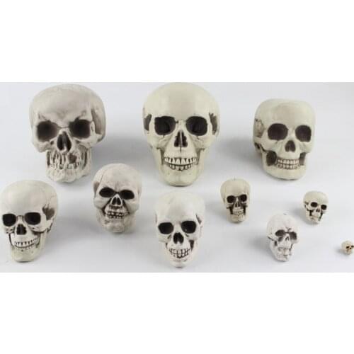 Halloween Artificial Skull Head Model Scary Skeleton Ornament Festival Party