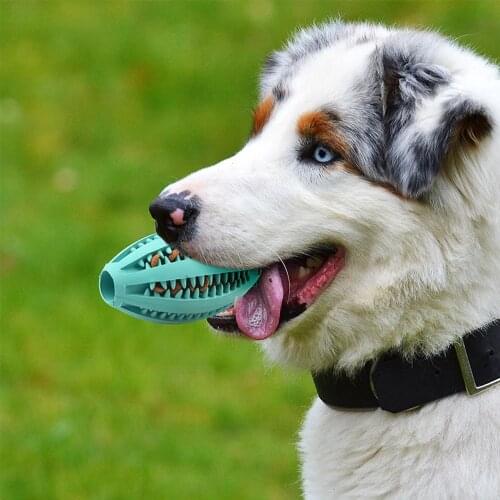 Pet Dog Cat Chew Toys Ball Teeth Ultrastrong Chew Toys Ball Food Pet Dog Toy Interactive Tooth Cleaning Rubber Rugby Balls