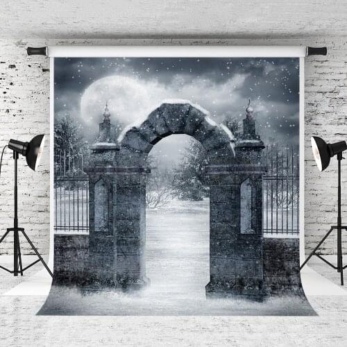 VinylBDS Photography Backdrops Dreamy Gray Door Bhotography Background Photographic Studio