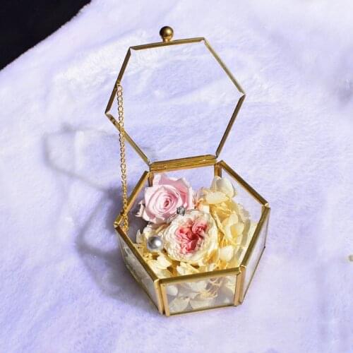 Geometric Clear Glass Jewelry Box Jewelry Organizer Holder Tabletop Succulent Plants Container Home Jewelry Storage