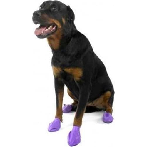 Pawz Large Large Breed Dog Footwear Cover 12 Pcs Purple 429216626