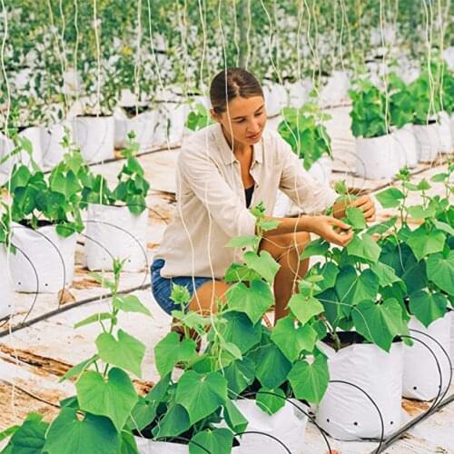 Vegetables Trellis Roller Hooks with 10M Twine Multifunctional Hanging Hook Suitable for Fruit Greenhouse Plant J2Y