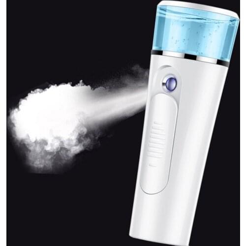 2-in-1 Handheld Mist Sprayer Portable Facial Steamer Sprayer USB Rechargeable Power Bank Sprayer Beauty Instrument Hot Sale