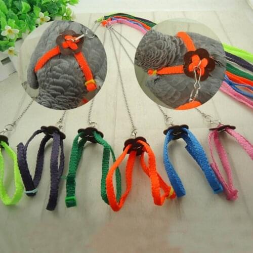 1Pcs Parrot Bird Collar Harness Adjustable Hamster Turtle Lizard Traction Rope Reins Collar Pet Strap Leash Colorful