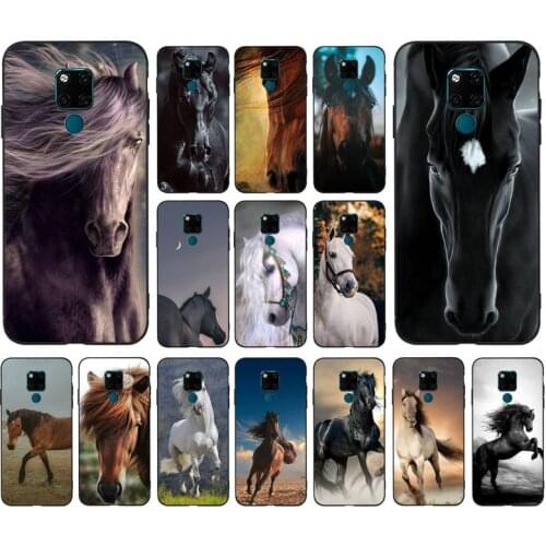 FHNBLJ Huawei Mate 20 Pro Phone Cases