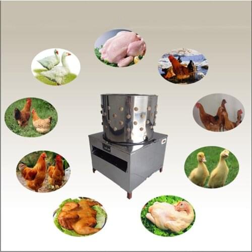 Poultry Hair Removal Machine Bird Plucker Hair Removal Machine Chicken Defeathering Electric Duck Plucker