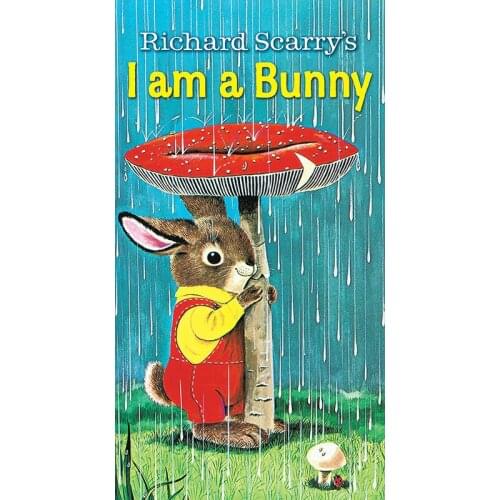 English board book I am a Bunny hard card picture book 1-3 years kids children reading feel seasons early education