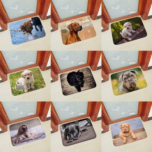 Anti slip doormat for entrance door mats outdoor indoor front door mat Thicken flannel 40x60cm cute dogs printed carpets