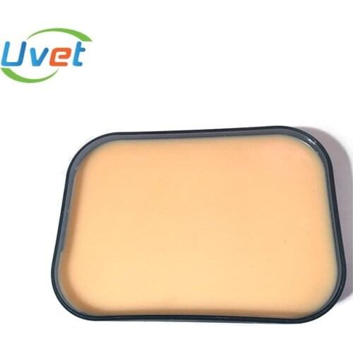 Uvet 5pcs Practice Silicone Module Eye Surgery Buried Training Silicone Cosmetic Surgery Beginner Exercise Tool