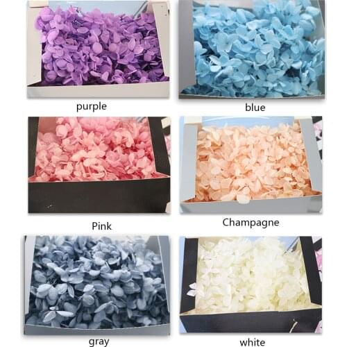 20g Natural Eternal Hydrangea Preserved Flower Real Immortal Flower DIY Materials Box Gift Wedding Decor Artificial Dried Flower