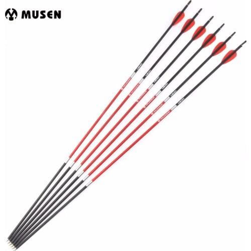 30 Inches Carbon Arrows Spine 1200 Diameter 6mm for 20Lbs Compound/Recurve Bow Archery Shooting Hunting