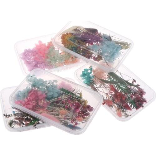 Dried Flower Dry Plants For Candle Epoxy Resin Pendant Necklace Jewelry Making Craft DIY Candle Pendant Home Wedding Decor