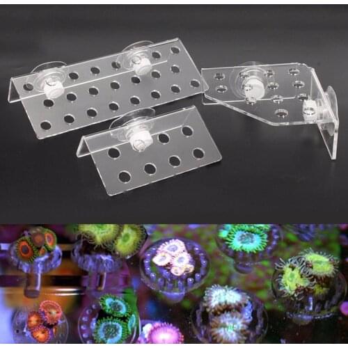 Aquarium Fish Tank Coral Frag Rack Plugs Kit / Holder Coral Bracket Non-Toxic Acrylic Marine Reef Accessories