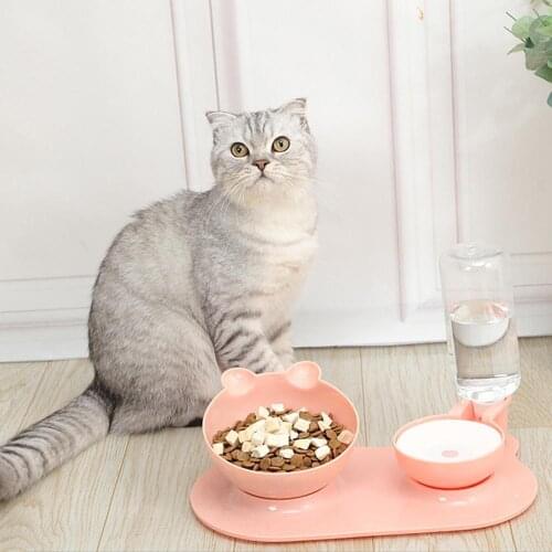 Cat Dog Bowl Double Automatic Drinking Feeding Bowl Anti-overturning Dual-purpose Bowl Pet Supplies