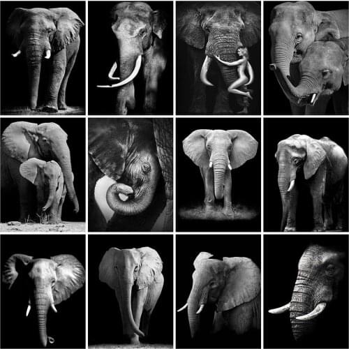 Evershine Diamond Painting Black White Animals Diamond Embroidery Elephant Full Square Drill Cross Stitch Kit Home Decoration