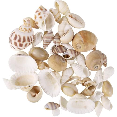 30g Beach Mixed Natural Sea Shell Charms Small Miscellaneous Conch Aquarium Fish Tank Landscape Home Decor DIY Craft