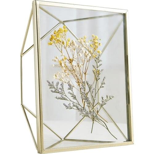 Dried Flower Glass Iron Photo Frame Creative Retro Plant Specimen Picture Frame Wall Home Iron Decorative Eternal Flower Frames