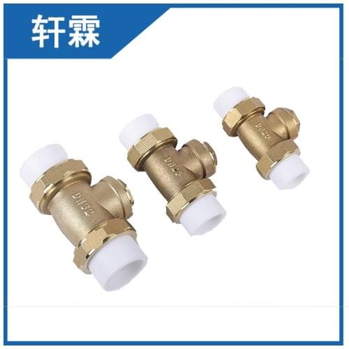 PPR check valve DN15 DN20 DN25 factory direct