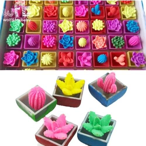 48pcs/lot novelty Aquatic bubble cactus Amusing Plants Flowers Animals Stereo Expansion water growth Children Toys hot sale
