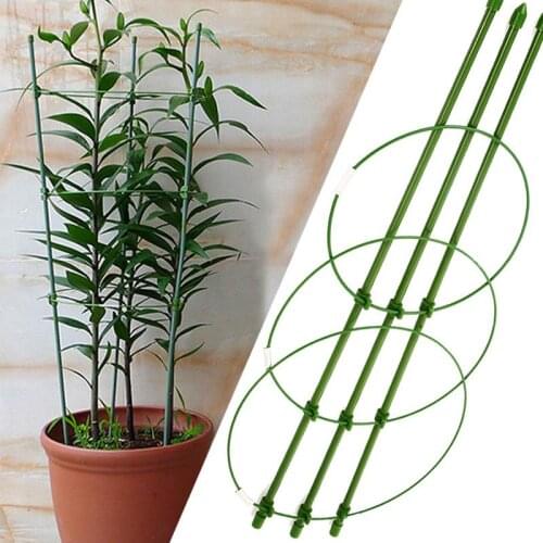 Durable Eggplants Vegetables Vine Climbing Rack Creative Diy Vines Peppers Gardening Tools 60cm Tomatoes Flower Decorative