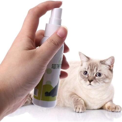 50ml Catnip Spray Cat Excitement Toy Cat Organic Natural Scratch Healthy Inducer Catnip