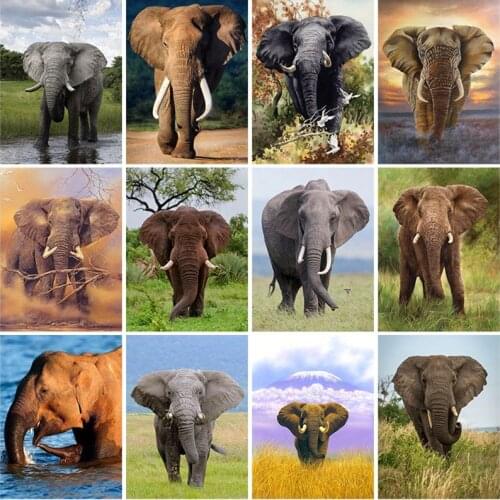 5D DIY Diamond Painting Elephant Full Square Drill Diamond Embroidery Cross Stitch Animals Mosaic Rhinestone Wall Art Home Decor