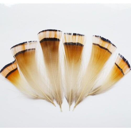 50Pcs 4-9cm Pheasant Chicken Feathers For DIY Crafts Plumas Hair Show Jewelry Headwear Mask Clothing Party Hat Decoration Plume