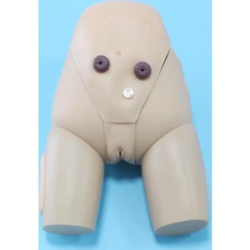 Female Urethral Catheterization Simulator BIX-H70/3 WBW036