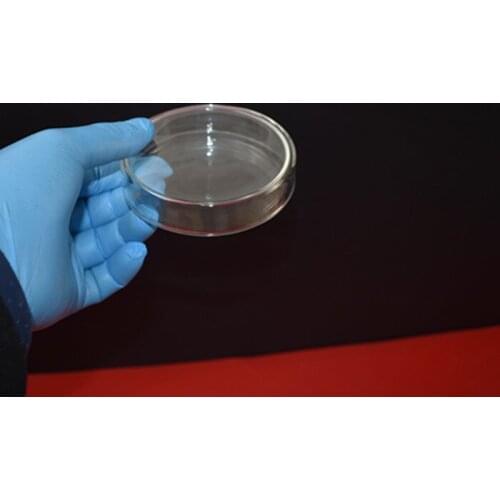 5PCS High Quality Glass Petri Dish for Lab Plate Bacterial Yeast Diameter 60MM