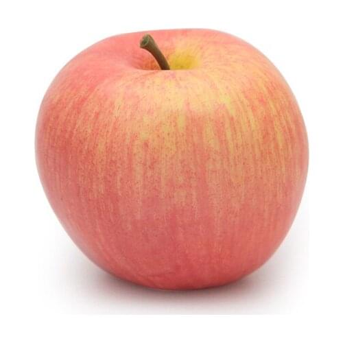 Simulation Of Fruit Vegetables Plastic Model Rural Children Restaurant In The Sitting Room Bedroom Decorates Hot Sale 2021