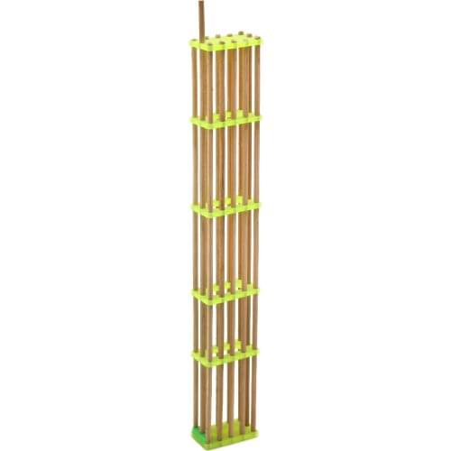 10 Pcs Bee Five Lengthened Bamboo Cage Queen Beekeeping Tools Beekeeper Apiculture equipments