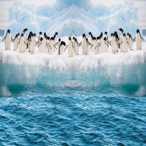 Dropship Fatman 3d Wallpaper Antarctic Penguin Photo Wallpaper Home Improvement Living Room Wall Covering Papel De Parede