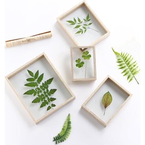 Solid Wood Photo Frame Double-sided Glass Plant Specimen Frame Square Picture Frames DIY Specimen Decoration Art Home Ornaments