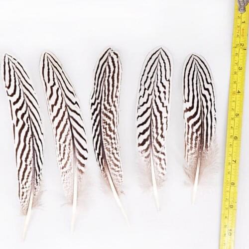 Hot Sale 100pcs/lot Beautiful Silver Pheasant Silver Feathers 15-20cm 6-8inch Wedding Christmas DIY Plume