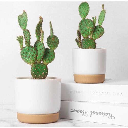 Large Round Plastic Plant Pots With Saucers Garden Flower Planter Home Office Decor Creative Eco-Friendly Indoor Stand Flowerpot