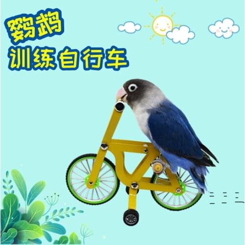 Parrot Bicycle Toy Bird Training Supplies Tools Props Tiger Skin Peony Xuanfeng Yellow Bicycle Training Intelligence Pet birdToy
