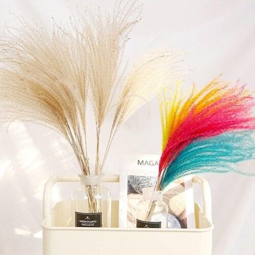 10PCs 55cm Natural Dried Pampas Grass Artificial Flower Party Wedding Decor Accessories Reed Plants Branch Home Room Decorations