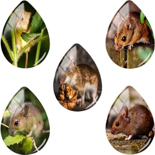 TAFREE Mini Mouse Eat Leaf Tear Drop 18x25mm Glass Cabochons Cameo Settings Handmade Crafts Accessories For Pendants HL74