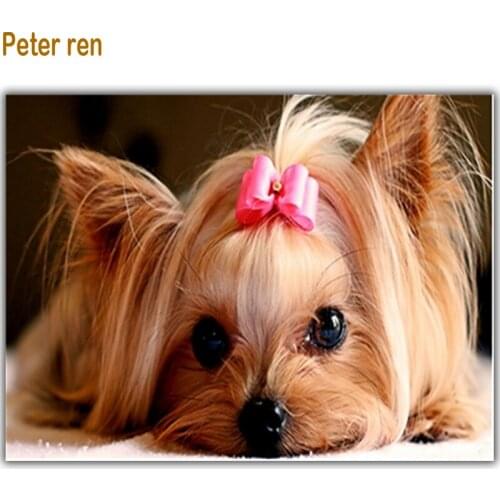 Peter ren DIY Diamond painting Cross stitch kits Pictures of rhinestone For dogs square mosaic full embroidery Yorkshire Terrier