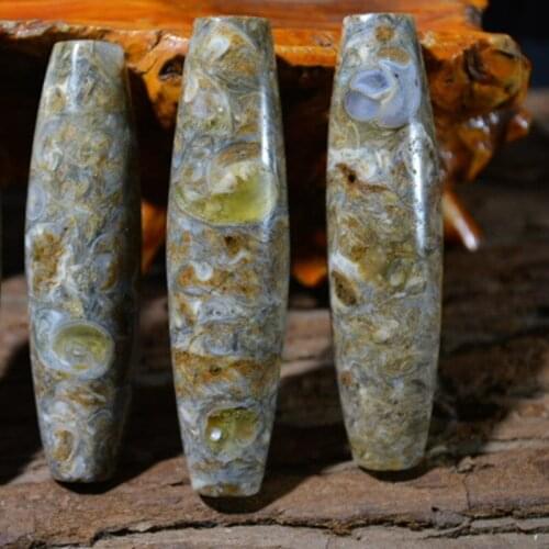 Tibets purest conch fossil old mine rough stone snail dzi bracelet necklace sky eyes bright tantric texture clear and gorgeous