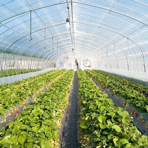 7M Wide Heat Preservation Film Outdoor Planting Greenhouse Grow Film Customize Size Garden Film